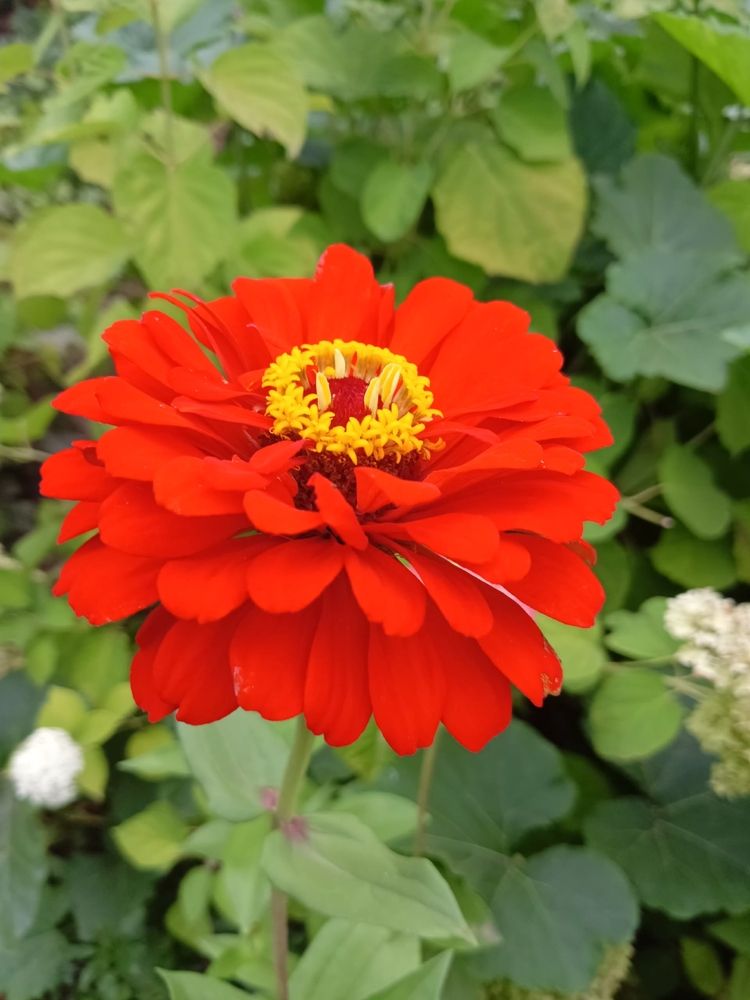 Photograph by Елена Чурынина