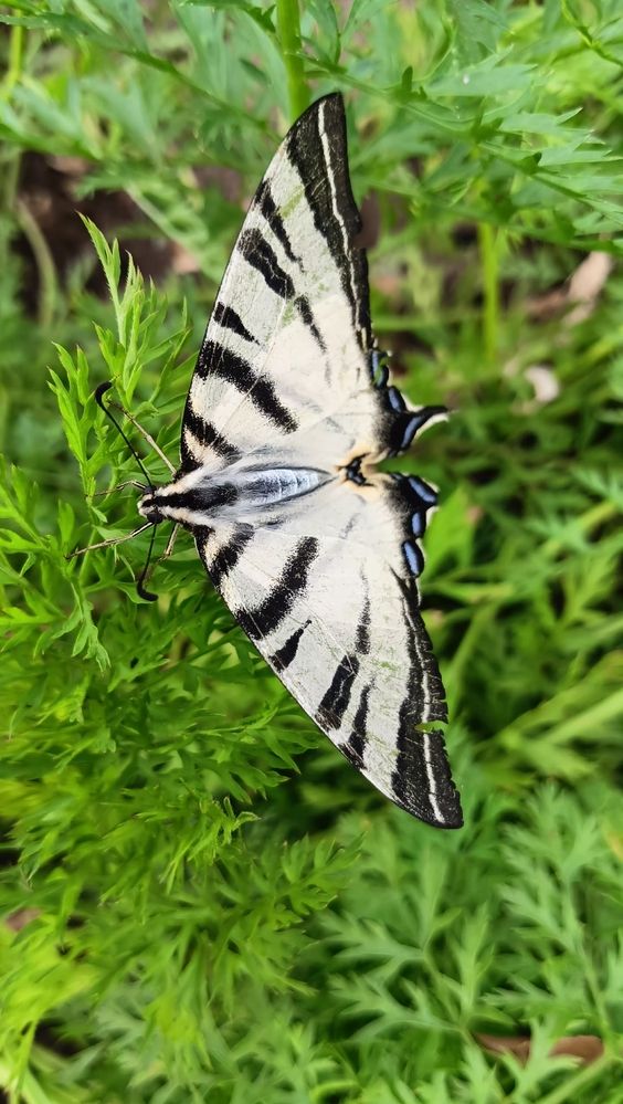 Photograph by Елена Чурынина