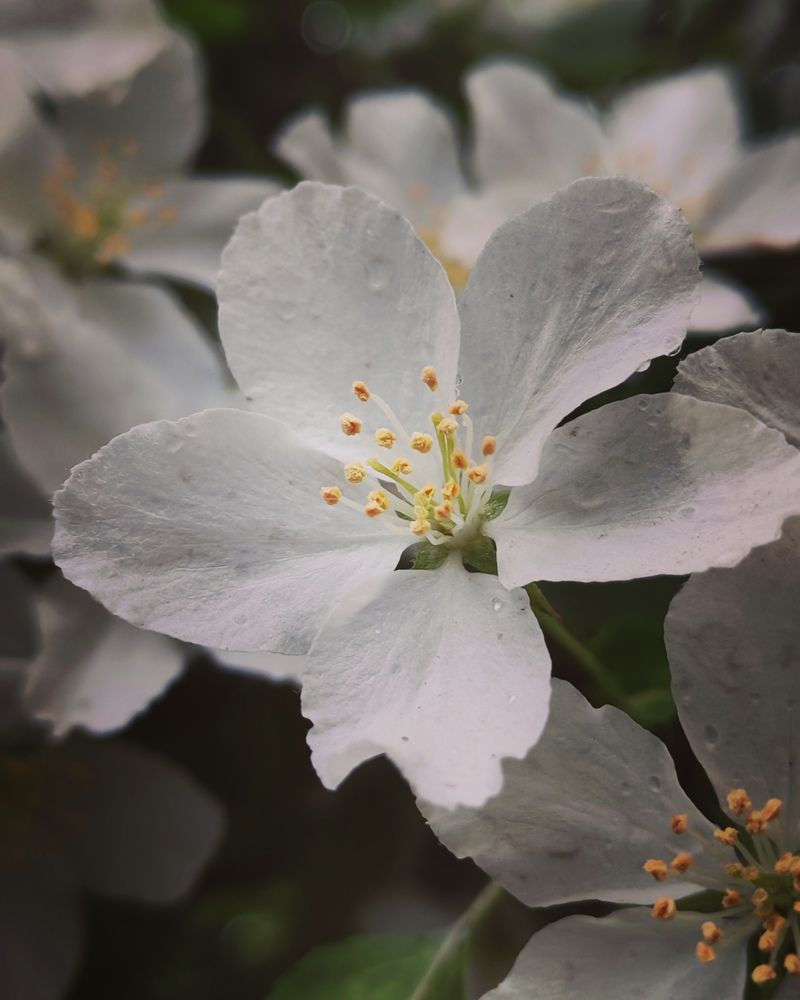 Photograph by Альбина Майкова