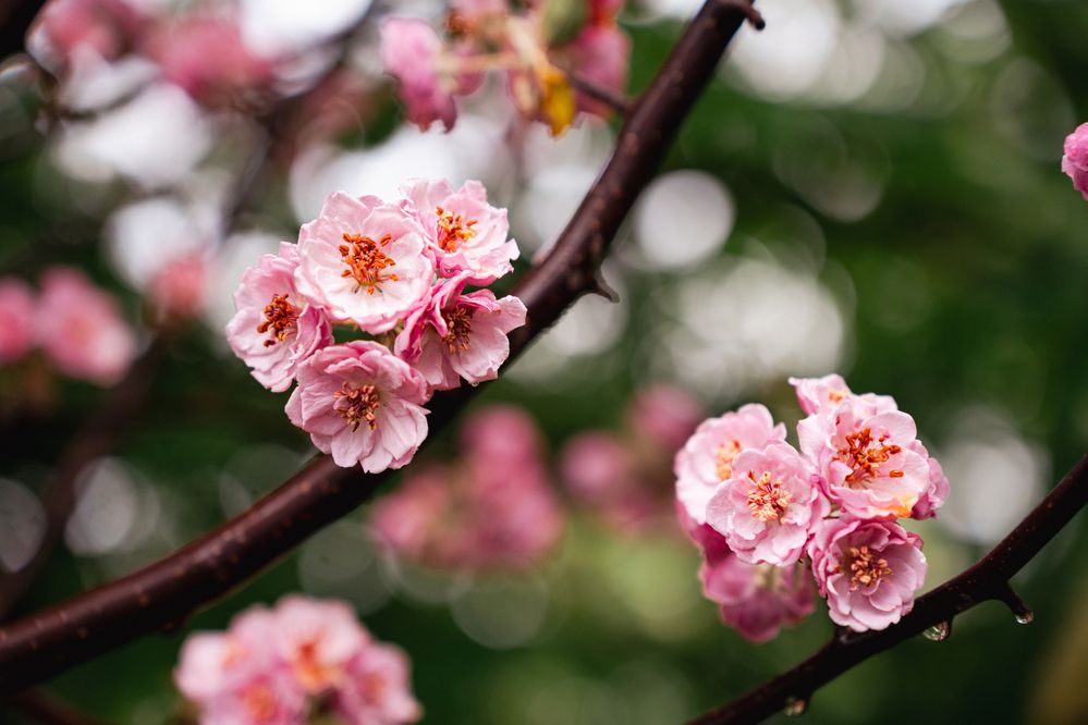 Photograph by Ирина Федорищева