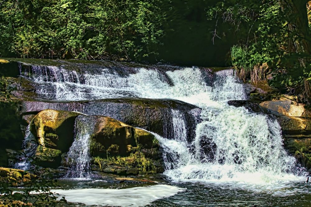 Photograph by A. G. Bisschop