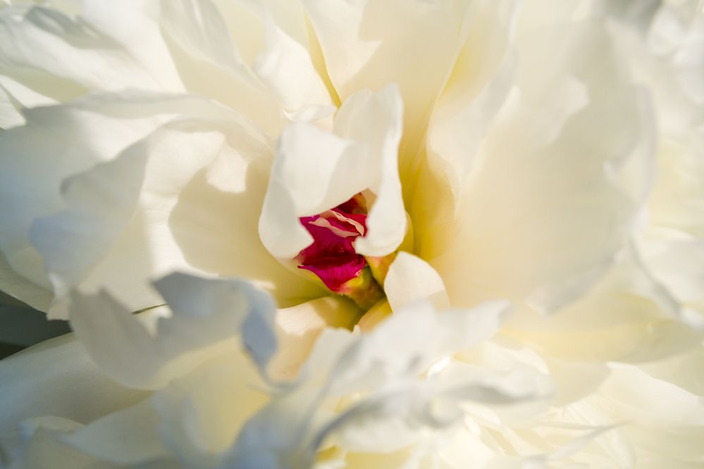 Photograph by Елизавета Большакова