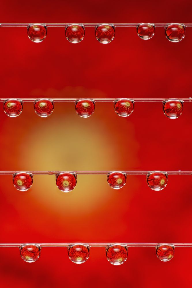 Photograph by Максим Вышарь