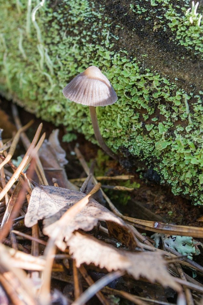 Photograph by Елизавета Большакова