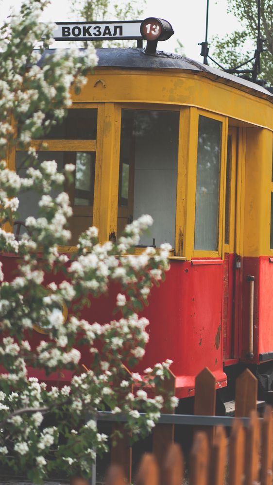 Photograph by Юлия Белоусова