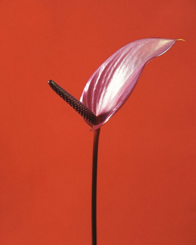 Photograph by александра вебер