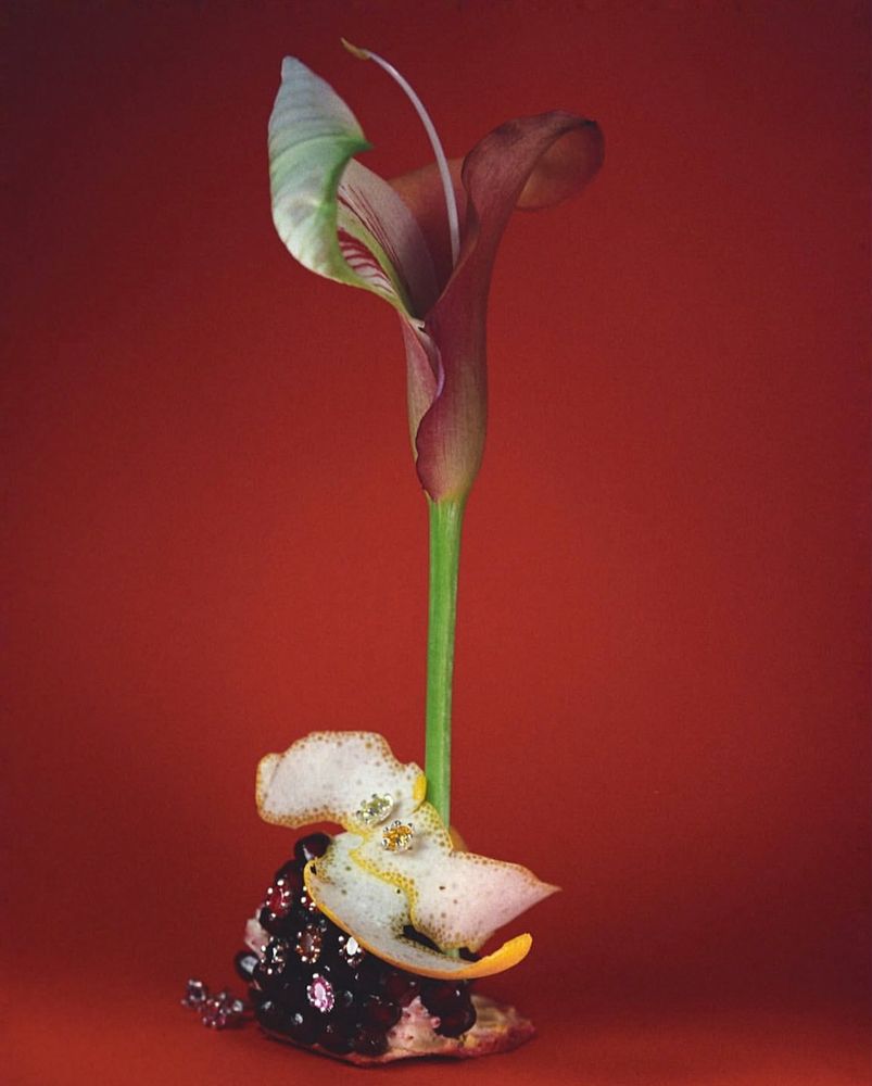 Photograph by александра вебер