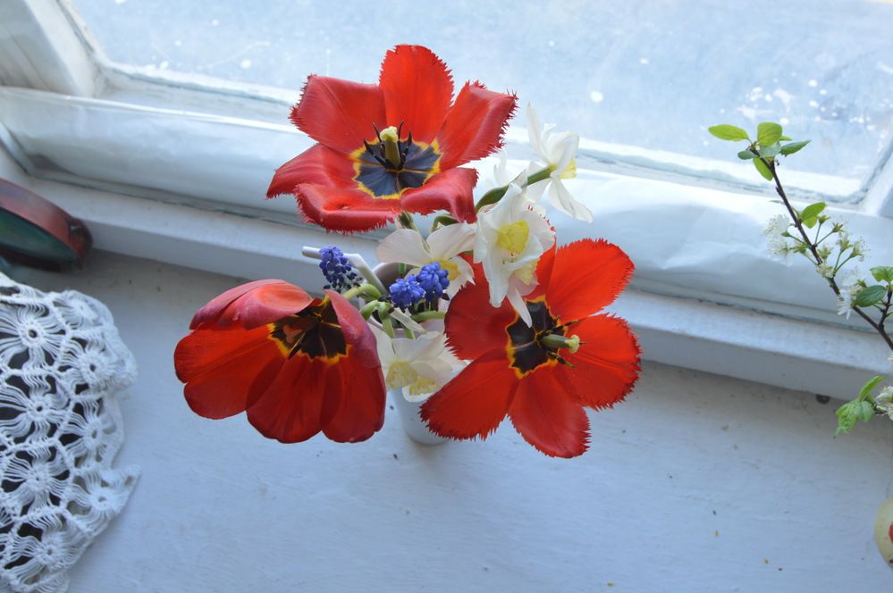 Фотография автора Клавдия Васильева