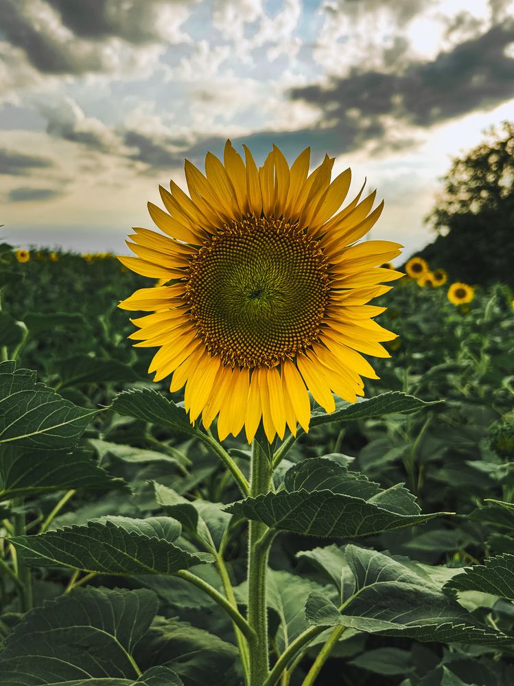 Photograph by Вероника Громадина