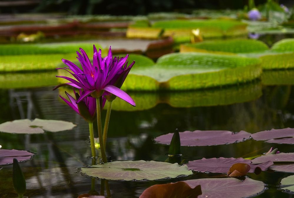 Фотография автора Альбина Хвастунова