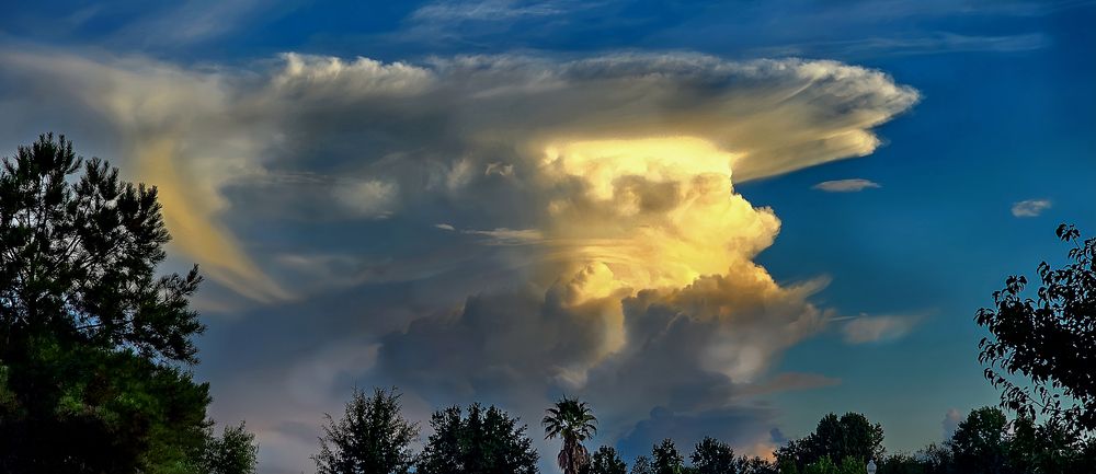 Unfolding Drama: Glory in the Grip of Power