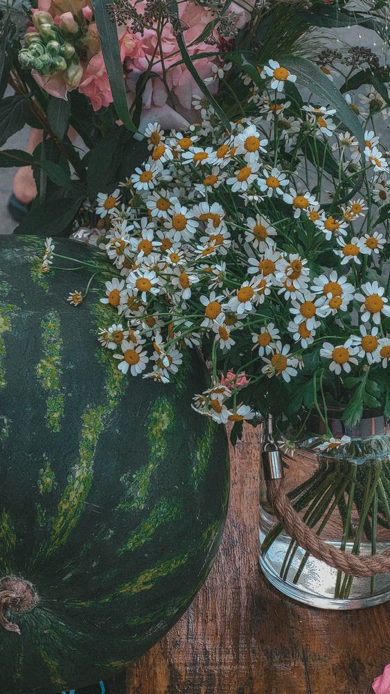 Photograph by Дарья