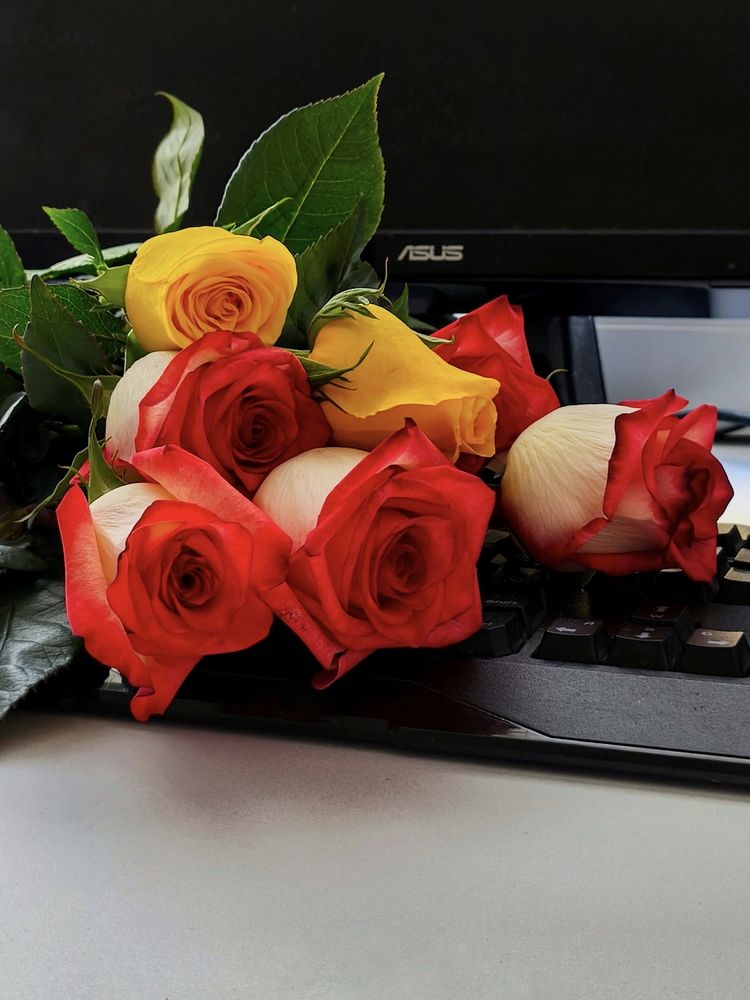 Фотография автора Любовь