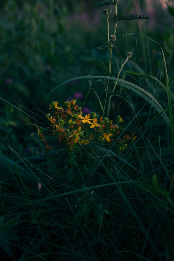 Photograph by Валентина Ивашова