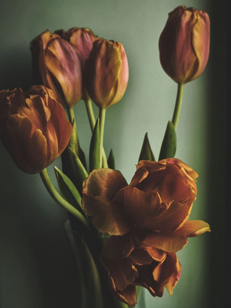 Фотография автора Любовь