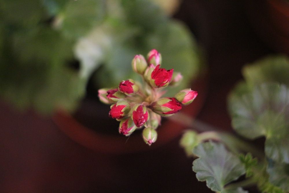 Photograph by Igors Rostikovs