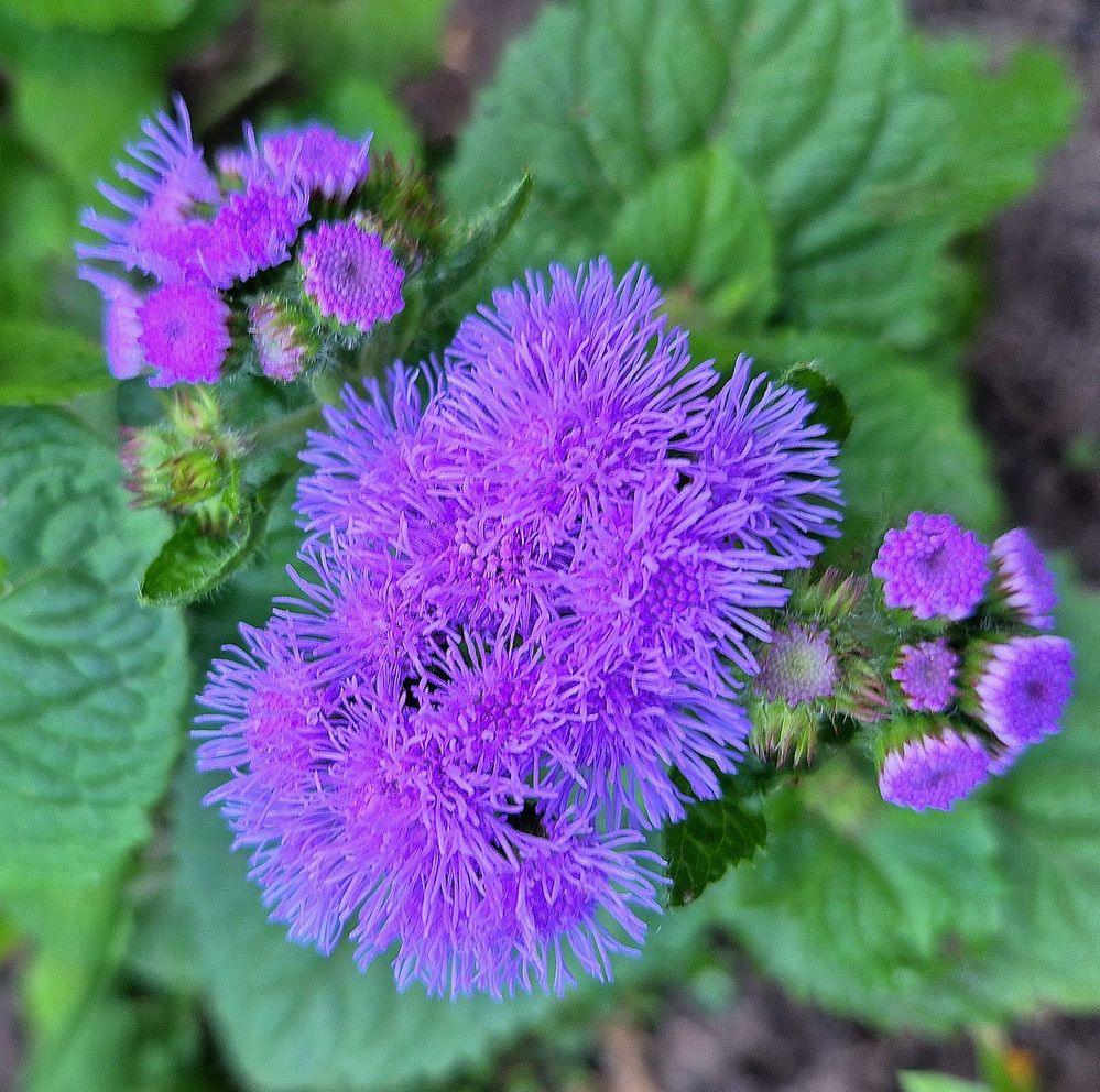 Photograph by Валентина Кузьменко