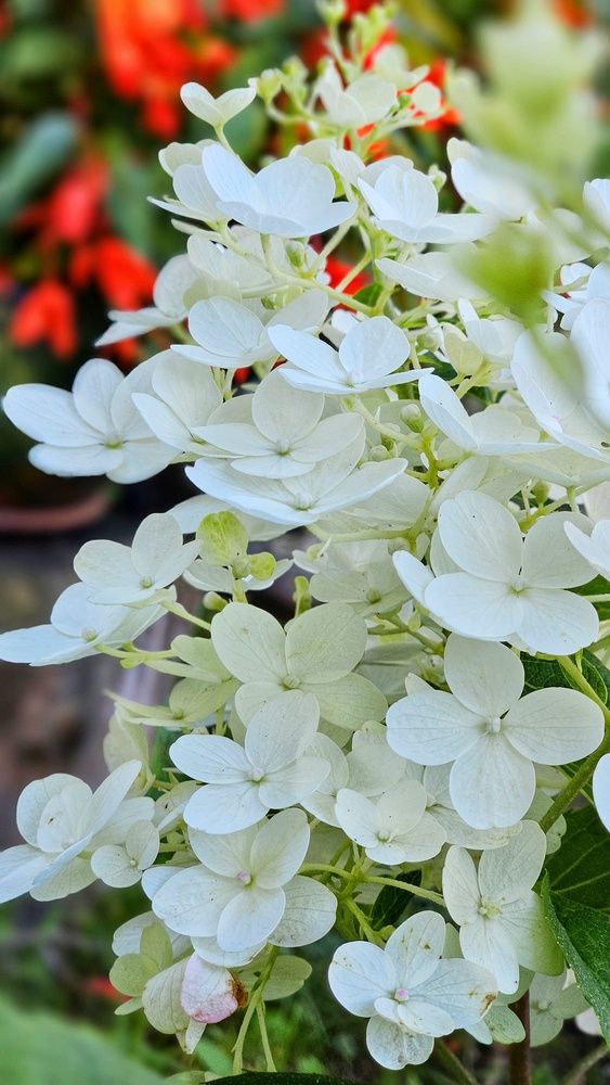 Photograph by Оксана Новикова