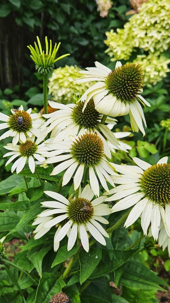 Photograph by Оксана Новикова