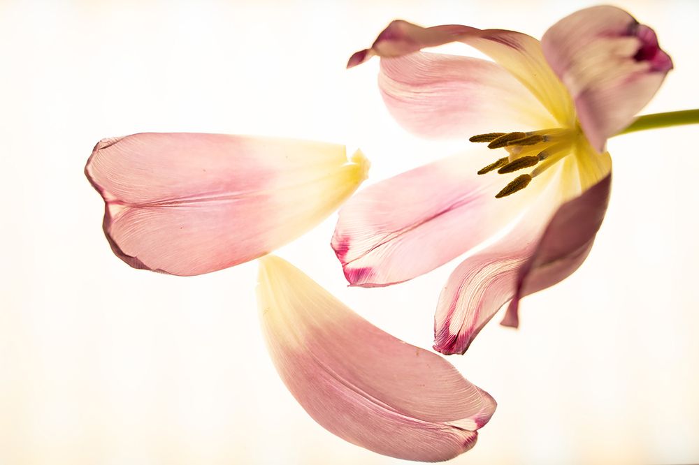 Photograph by Юлия Половинская