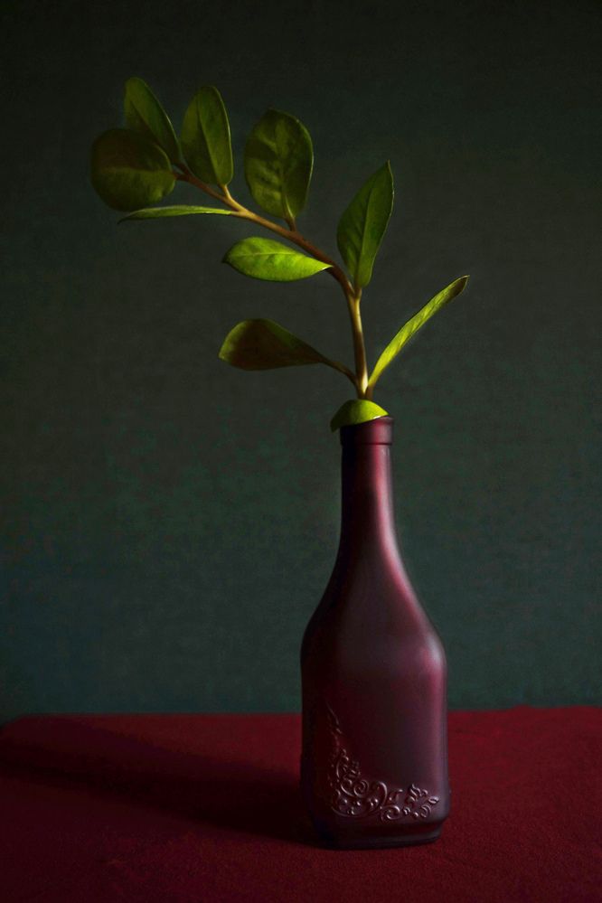 Photograph by Юлия Половинская