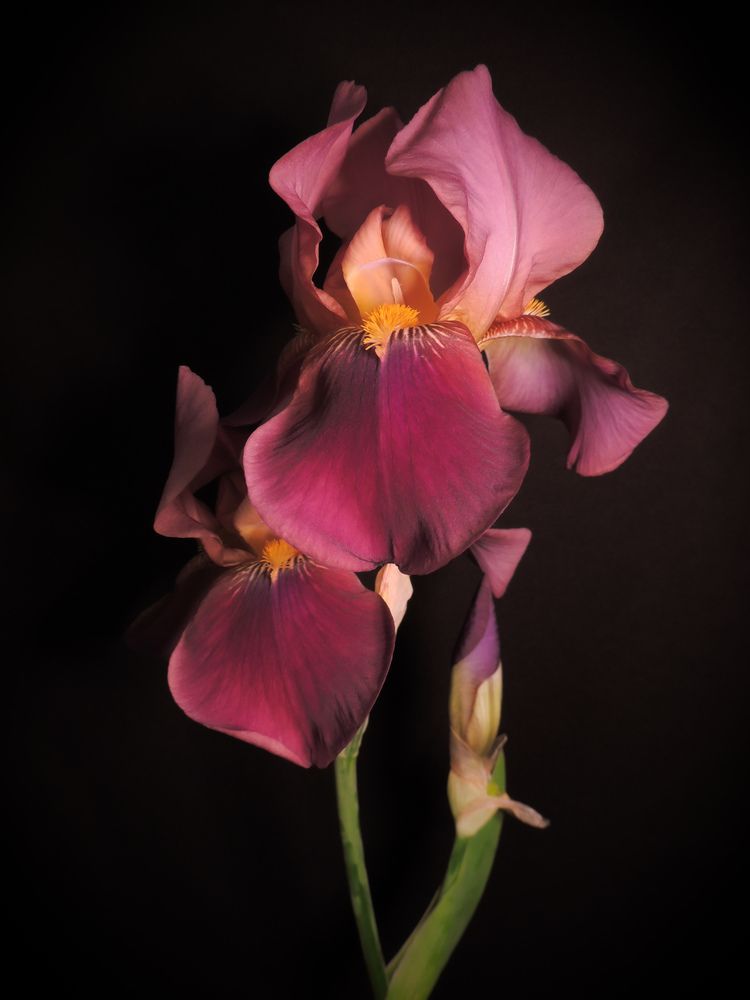 Photograph by Игорь Сухаревич