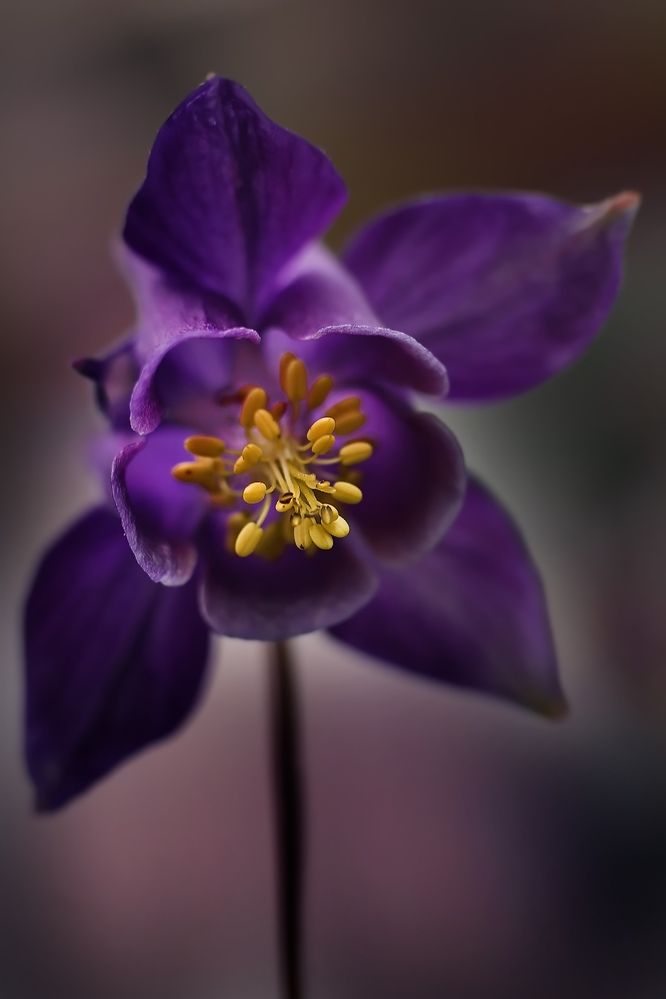 Photograph by Татьяна Бравая