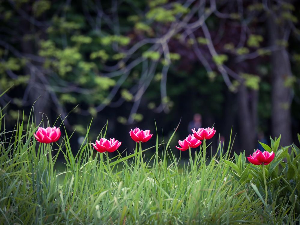 Photograph by Ирина Корабельникова