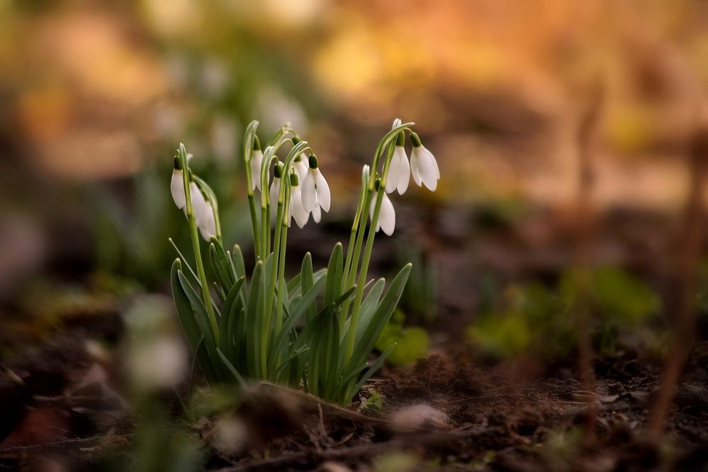 Photograph by Татьяна Бравая