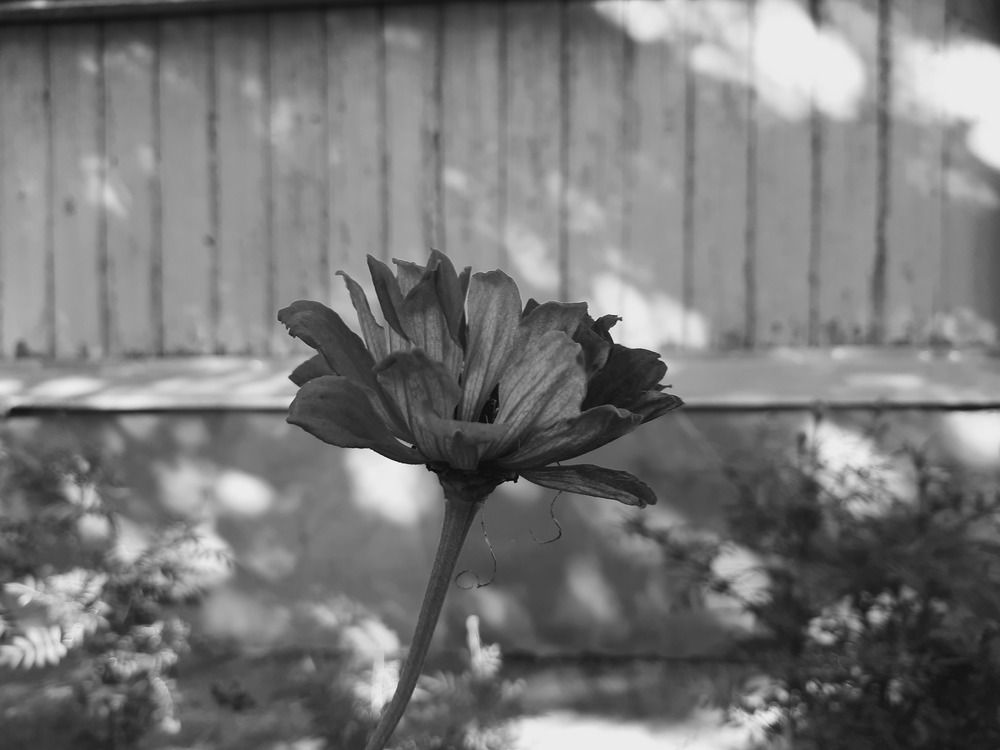 Photograph by Анжелика Гарина