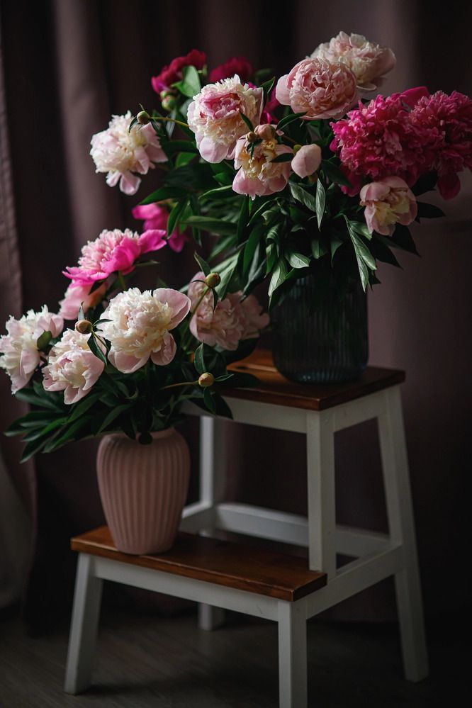 Photograph by Елена Седова