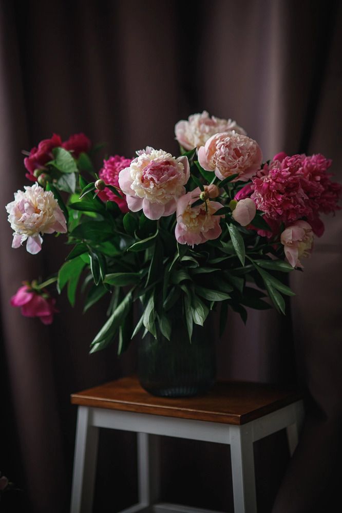 Photograph by Елена Седова