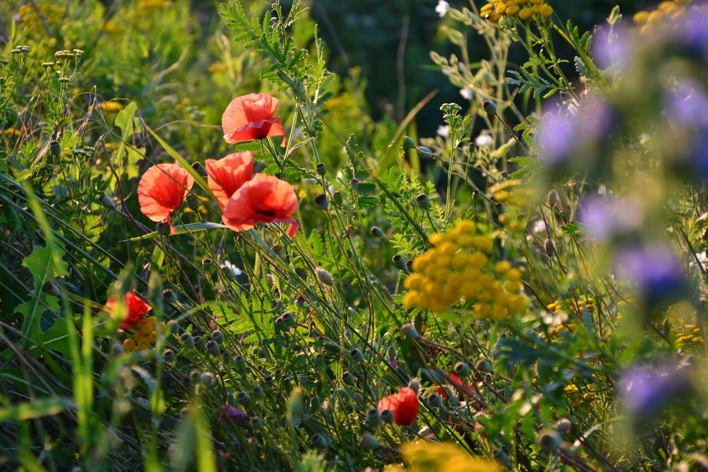 Фотография автора Евгений