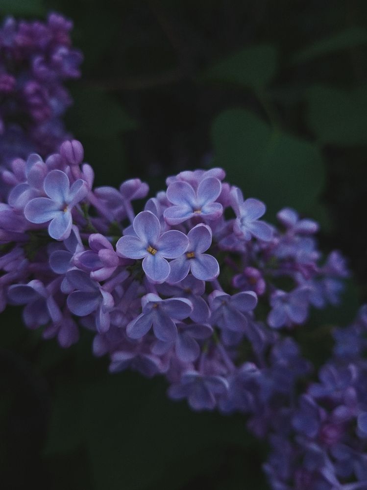 Photograph by Александра