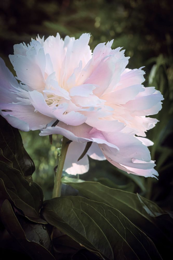 Photograph by Сергей Назаредский