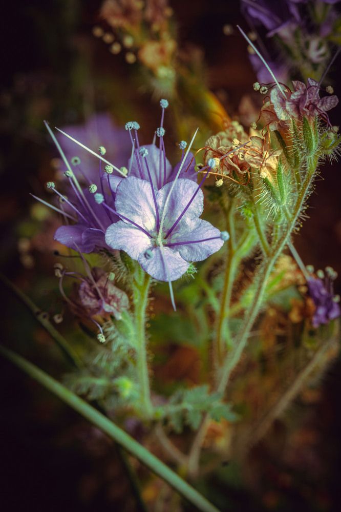 Photograph by Сергей Назаредский