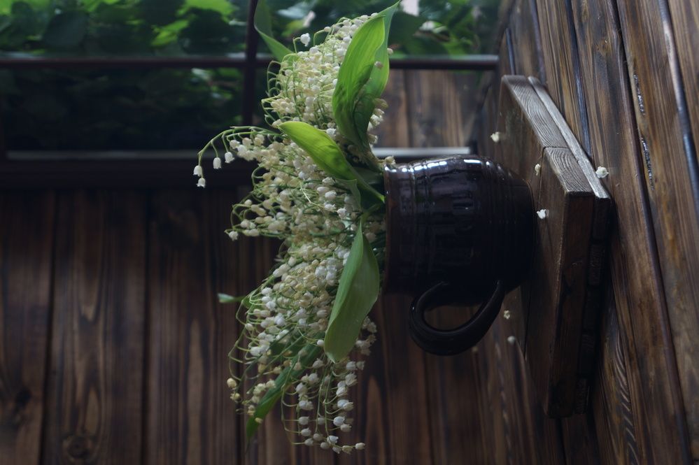 Photograph by Татьяна Кудимова