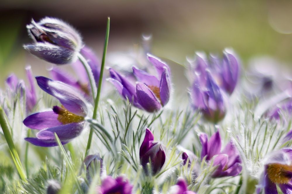 Photograph by Yana Egorova