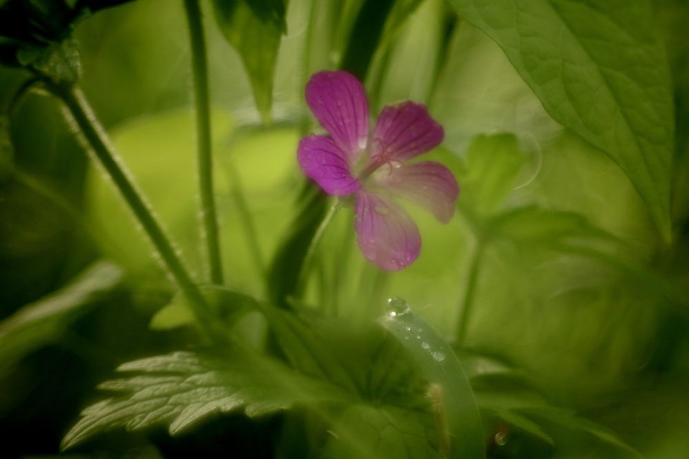 Photograph by Yana Egorova