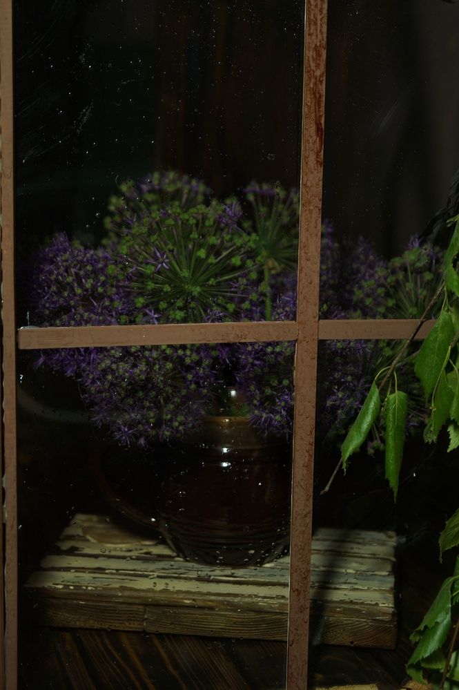 Photograph by Татьяна Кудимова