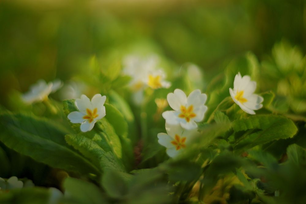 Photograph by Yana Egorova