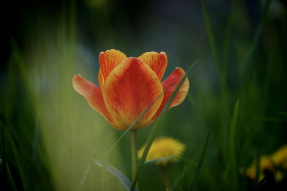 Photograph by Yana Egorova