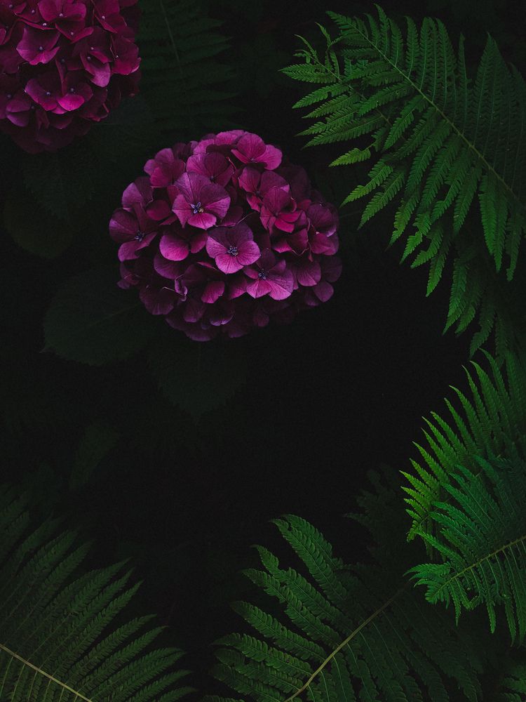 Фотография автора Анна Ворончихина