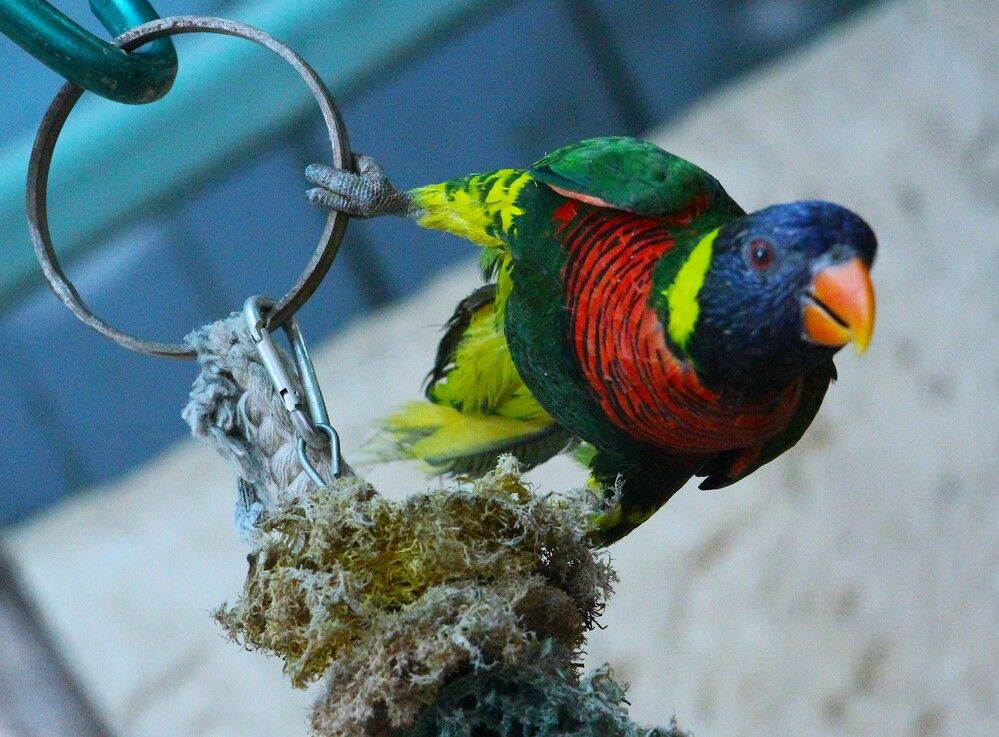 Photograph by Людмила Бутова