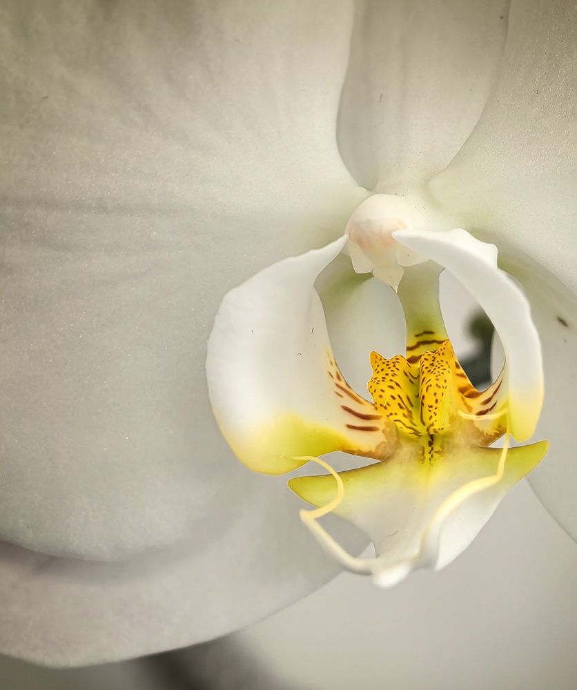 Photograph by Кривенко Владимир