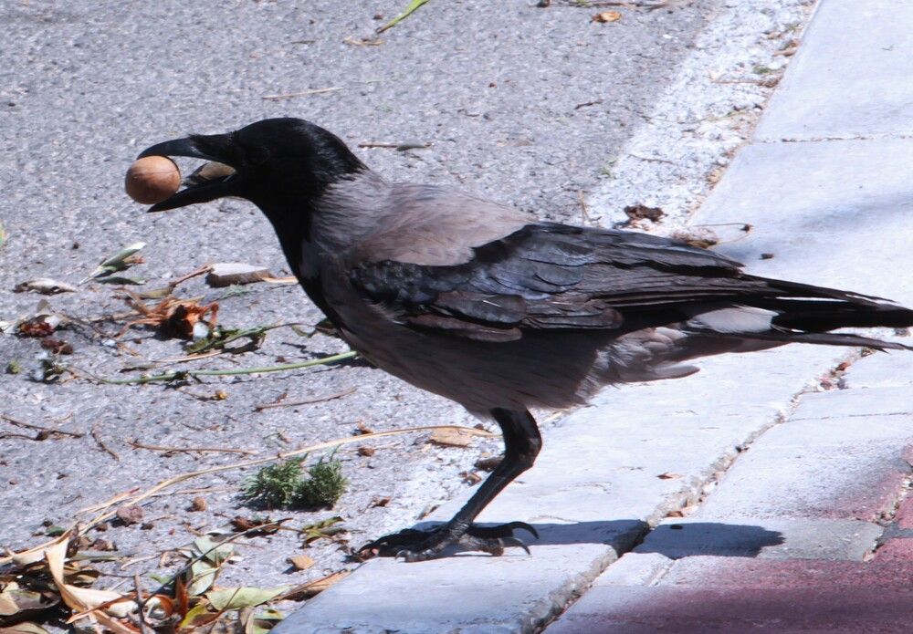 Photograph by Людмила Бутова