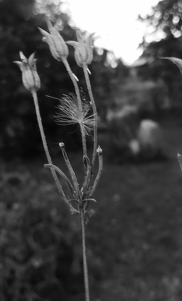 Фотография автора Катя Борзыкина