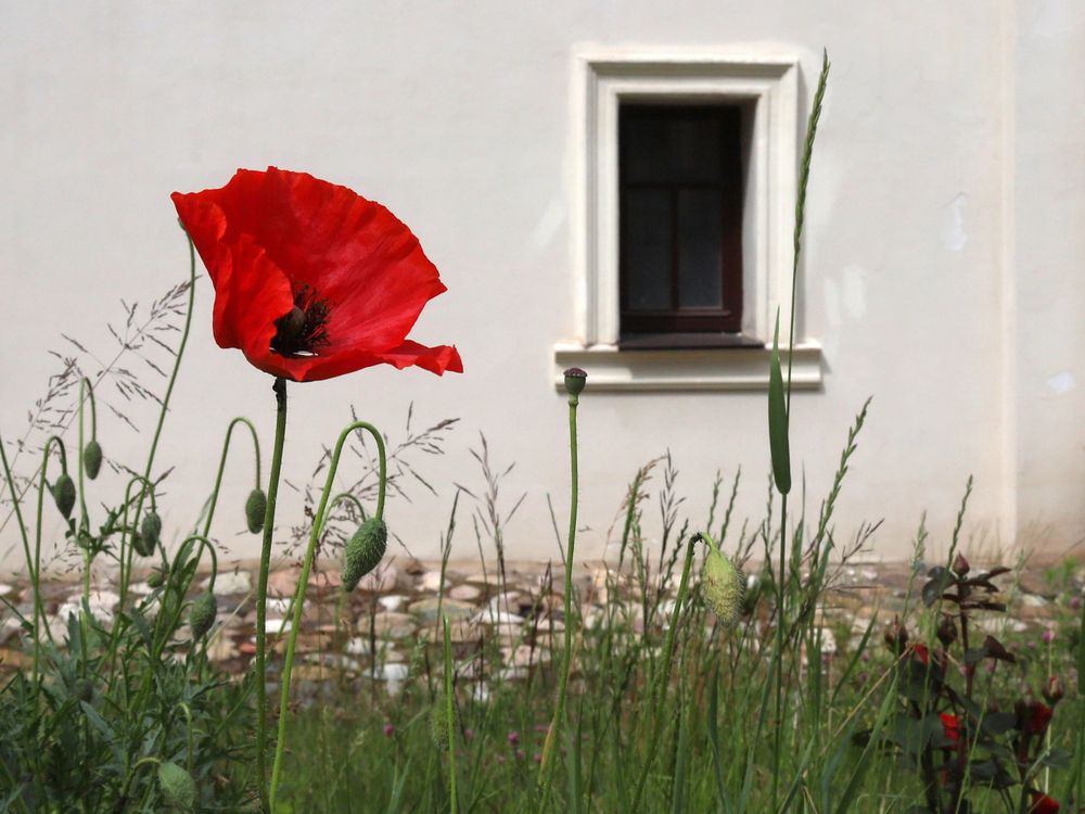 Photograph by Марианна Браун