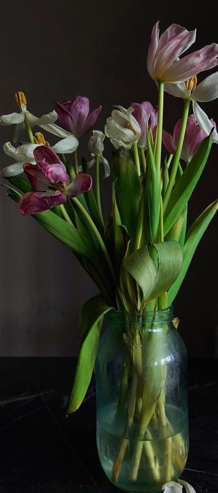 Красота увядания