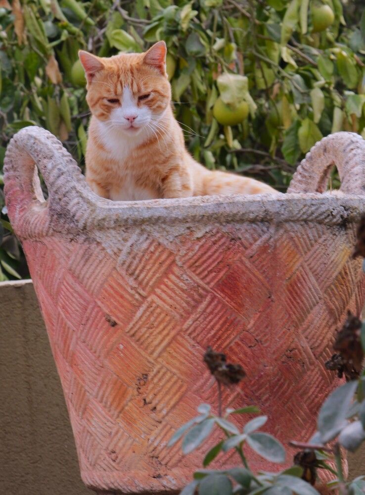 Photograph by Людмила Бутова